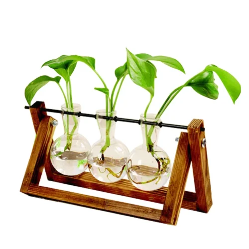 Hydroponic Vase